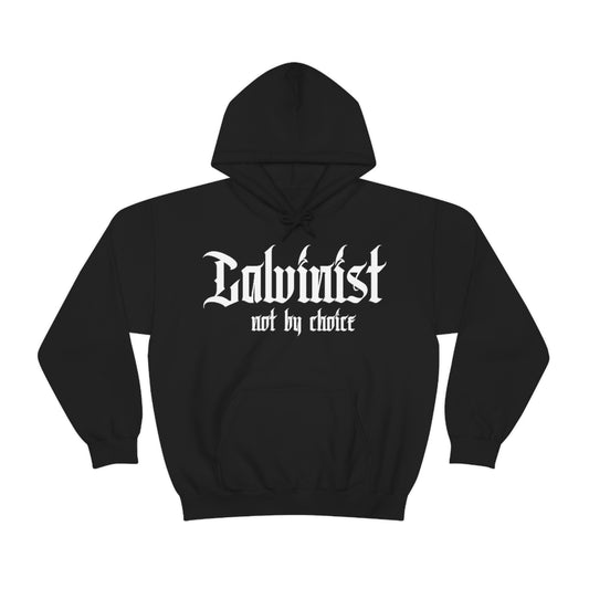 Gospel Affiliated Calvinist Unisex Heavy Blend™ Hooded Sweatshirt